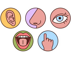 Strengthens Sensory Organs